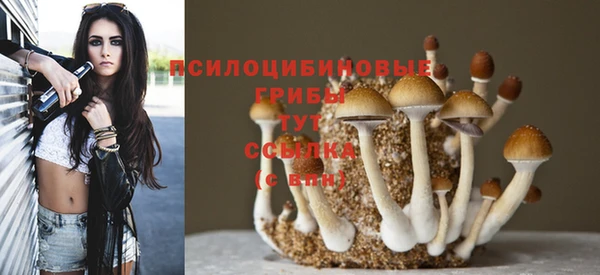 метадон Богородицк