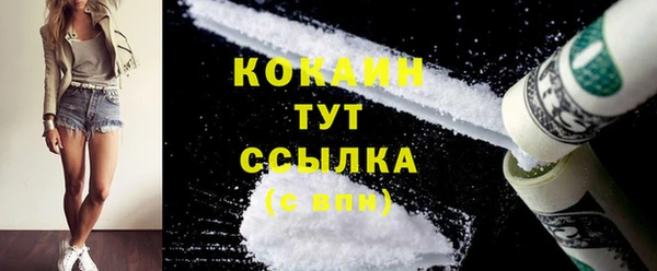 гидра Белокуриха