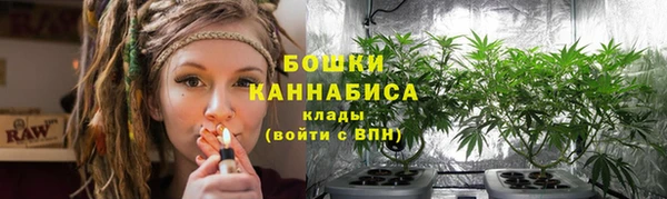 2c-b Богородск