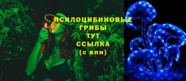 метадон Богородицк