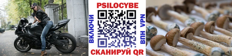 Псилоцибиновые грибы GOLDEN TEACHER  Бирюсинск 