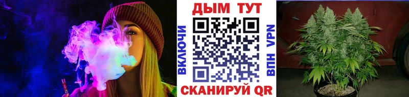shop Telegram  Бирюсинск  Канабис гибрид 